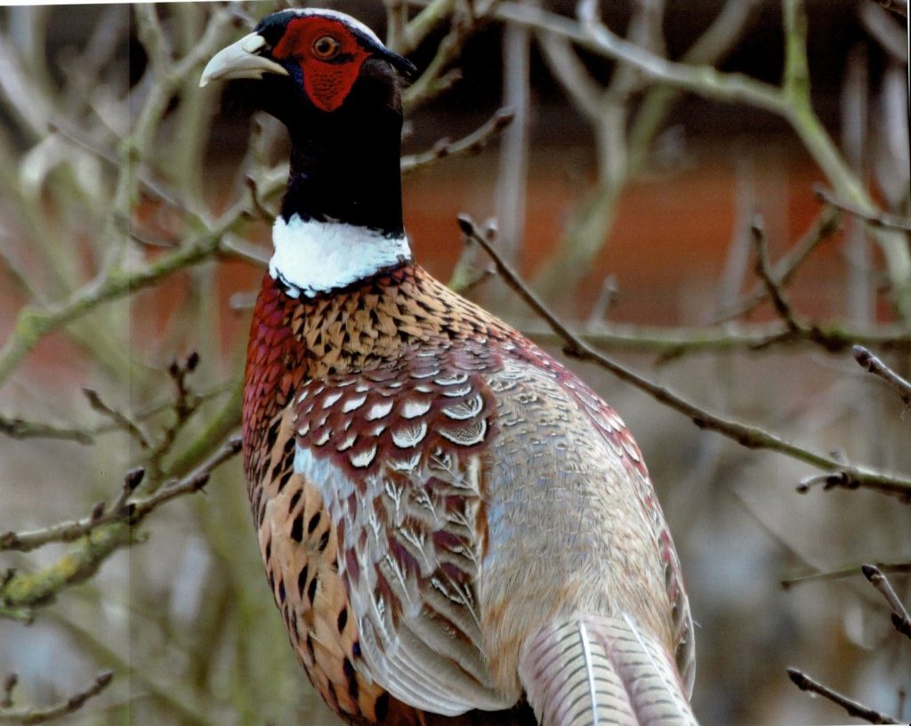 Hunters Dinner 7th March 2026 18:45 for 19:00 Tickets £20 from Debbie Griffin